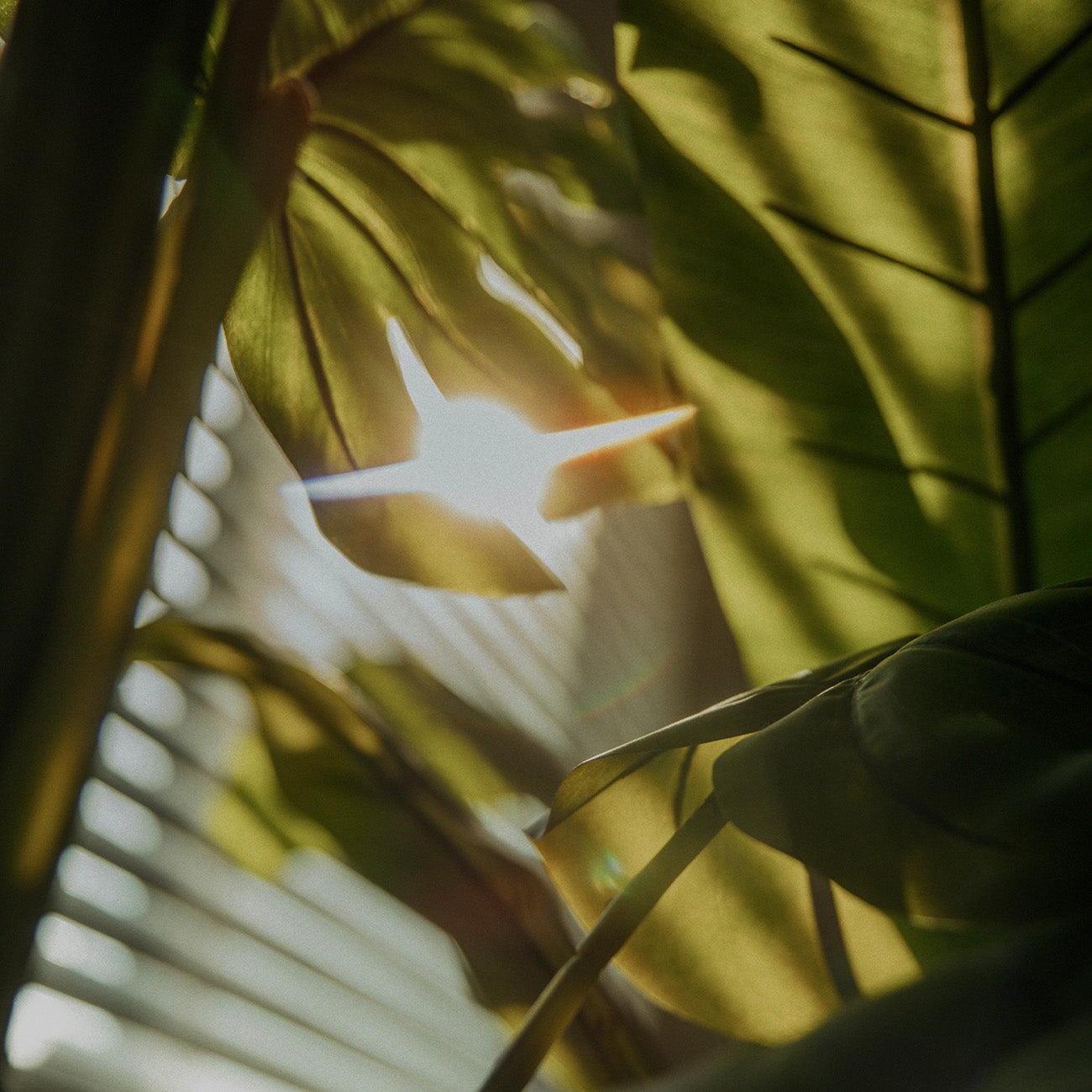 【木質調】1983 馥奇甄藏記憶香水