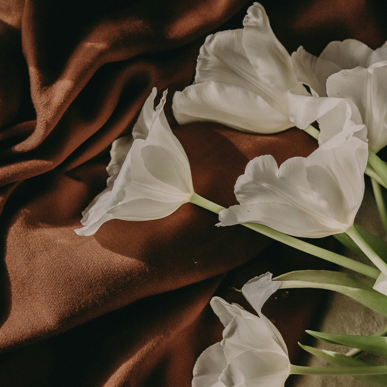 【水生調】 雨後清晨香水