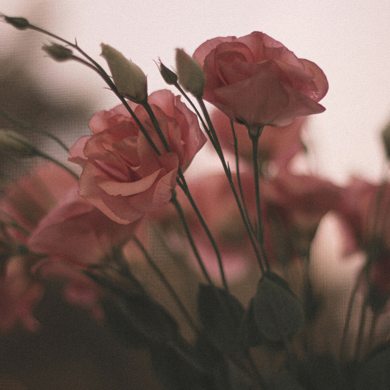 【Floral】2912 Pandora's Secret Diffuser