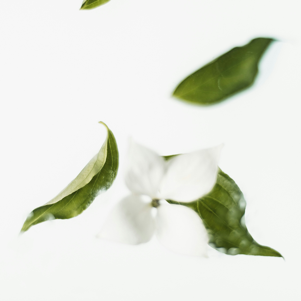 【茶香調】1360 茶韻之時淡香水