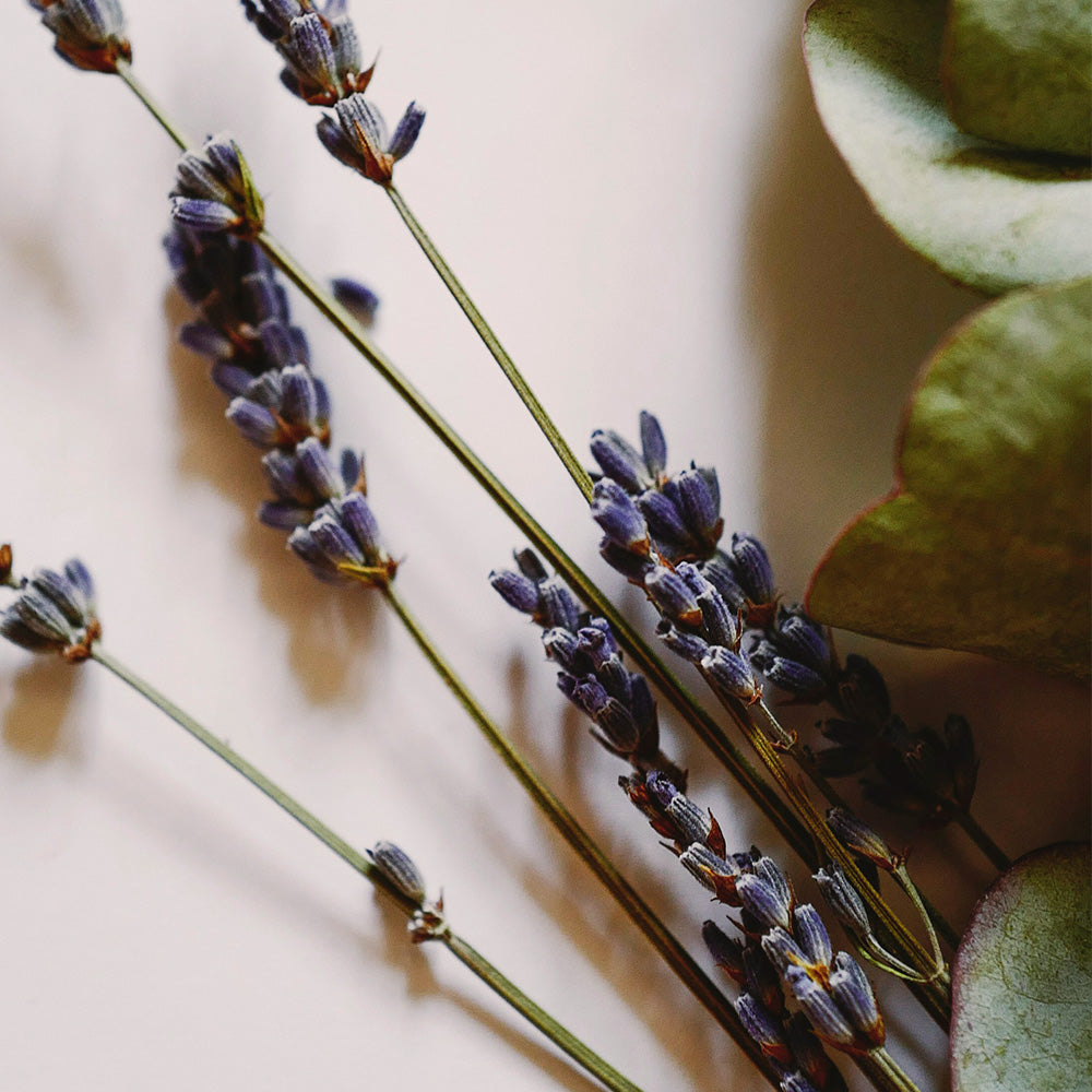 4413 Chanson Forest Fragrance Nail Oil|5ml (Additional Purchase)