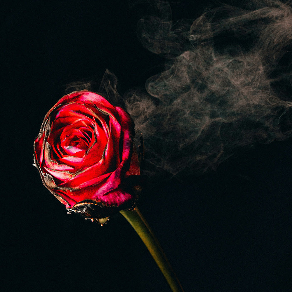 【Floral】2312 Pandora's Secret Scented Candle