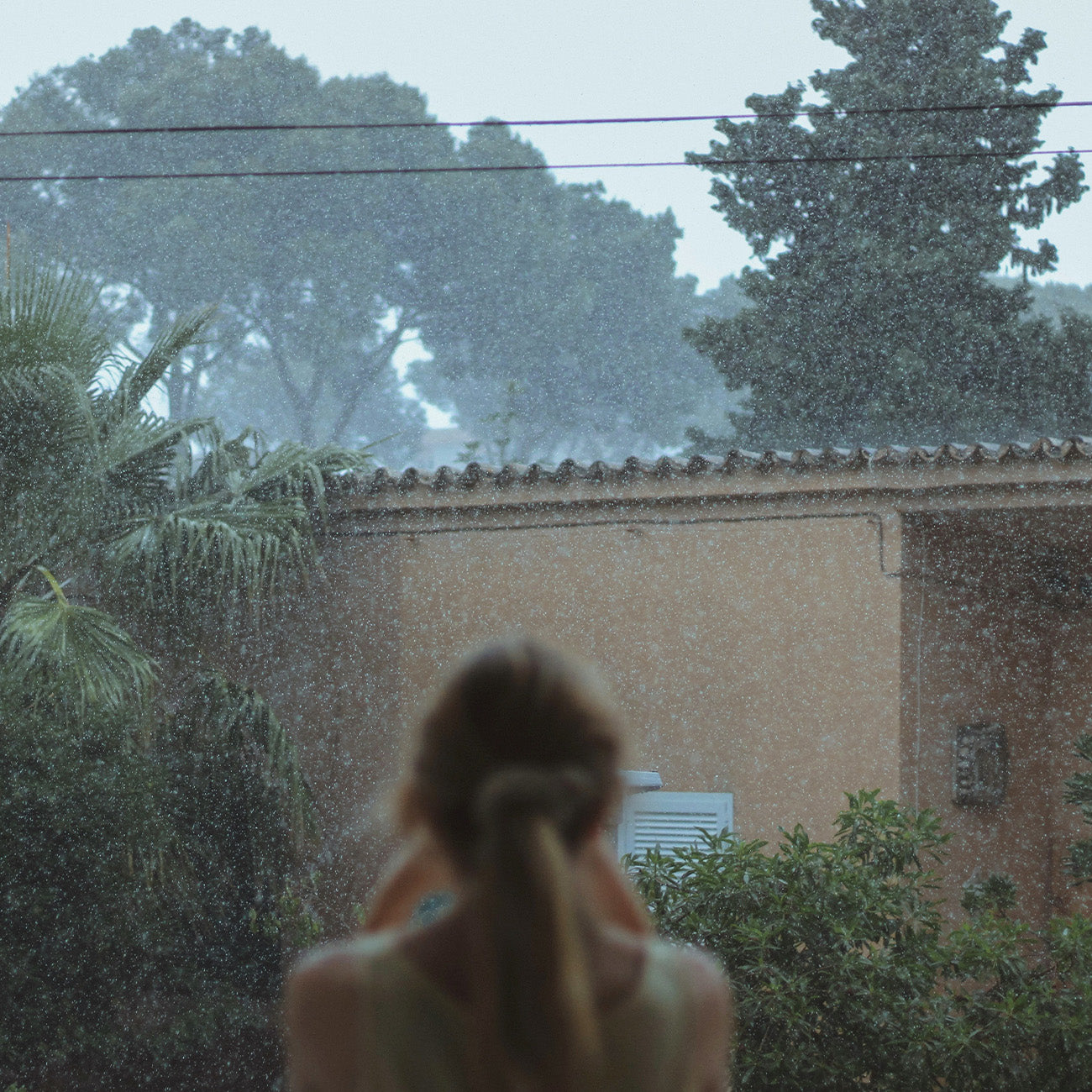 【Aquatic Tune】1331 Morning Perfume After the Rain