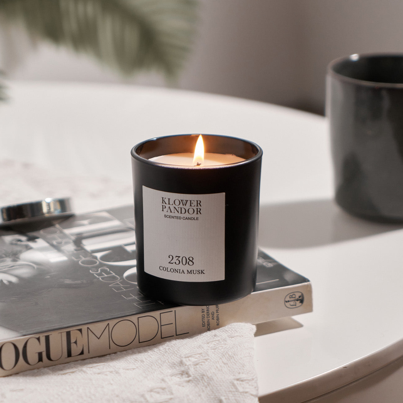 [Citrus Fougere] 2308 Cronia Musk Fragrance Candle